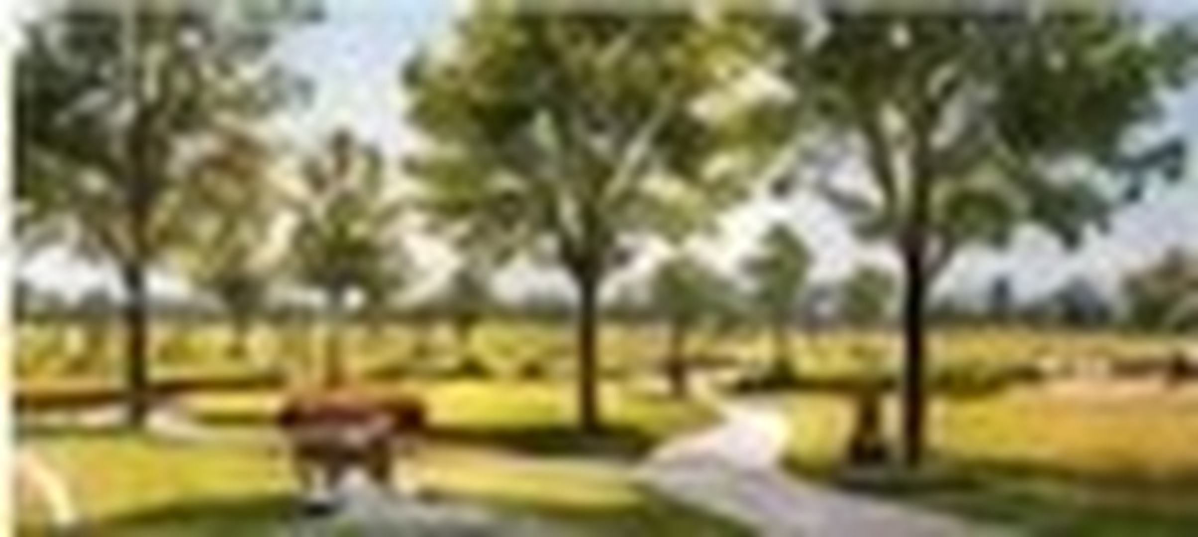 Benefits of living in a planned community